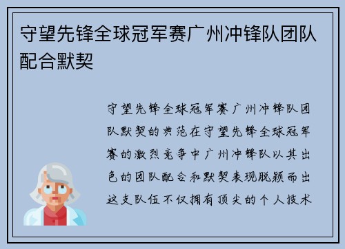 守望先锋全球冠军赛广州冲锋队团队配合默契