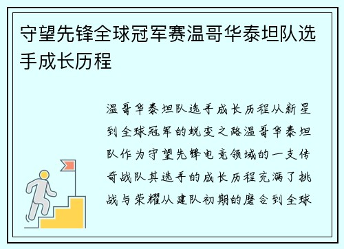 守望先锋全球冠军赛温哥华泰坦队选手成长历程